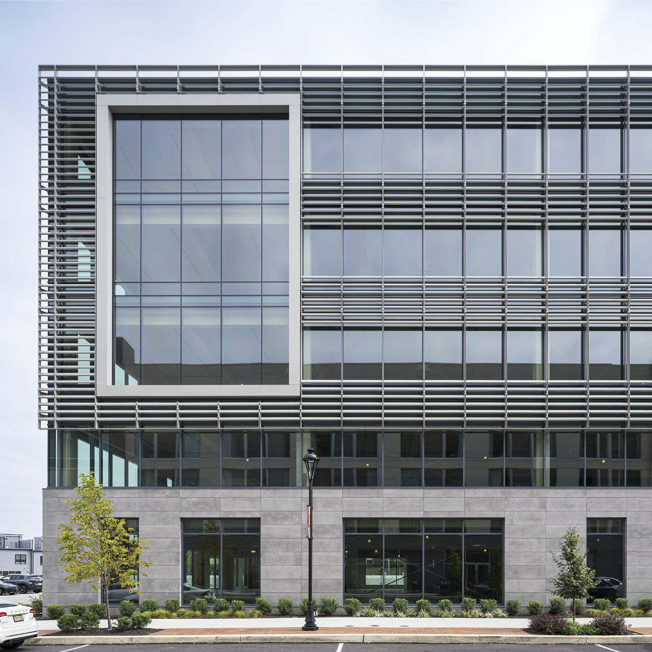 23 0081 KOP ELLIS PRESERVE 5